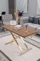 Lüks Home Ceviz MDF Oval Köşe Gold Kaplama Ayaklı Akıllı Sehpa Modeli