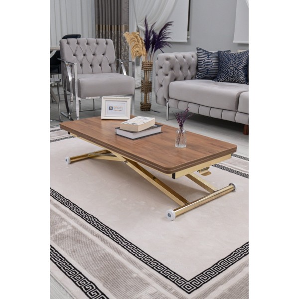 Lüks Home Ceviz MDF Oval Köşe Gold Kaplama Ayaklı Akıllı Sehpa Modeli